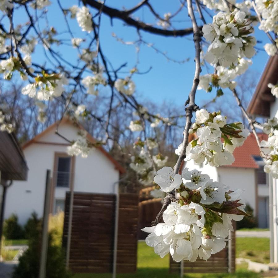 Kenese-Voelgye Villahotel Balatonkenese Εξωτερικό φωτογραφία